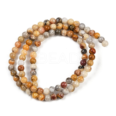 Natural Crazy Lace Agate Round Bead Strands G-P075-16-4mm-1