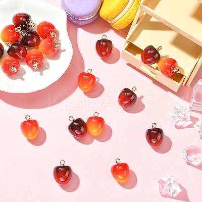 10Pcs Plastic Pendants KY-YW0002-17A-1
