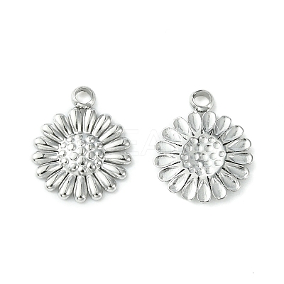 Non-Tarnish 304 Stainless Steel Charms LS-STAS-L269-062P-1