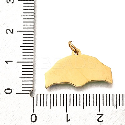 Pride 304 Stainless Steel Enamel Pendants STAS-B079-01G-10-1