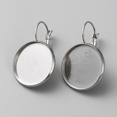 304 Stainless Steel Hoop Earring Findings LS-STAS-WH0001-17D-P-1