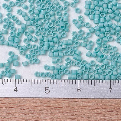 MIYUKI Delica Beads SEED-X0054-DB0878-1