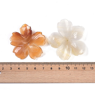 Natural Agate Butterfly Pendant G-Q164-20-1
