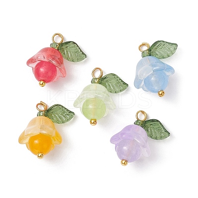 15Pcs 5 Colors Natural Malaysia Jade & White Jade Dyed Pendants PALLOY-JF02433-S-1