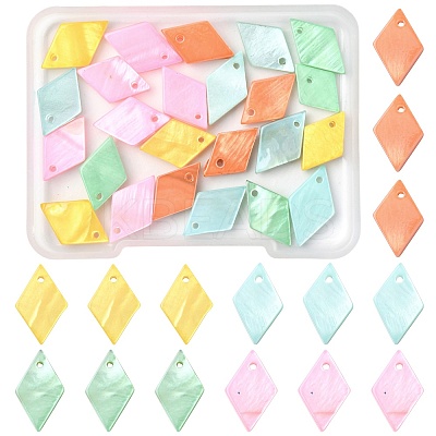 24Pcs 5 Styles Spray Painted Natural Freshwater Shell Pendants BSHE-FS0001-14-1