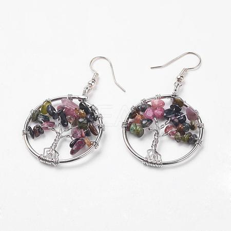 Natural Multicolor Tourmaline Dangle Earrings EJEW-P136-B04-1