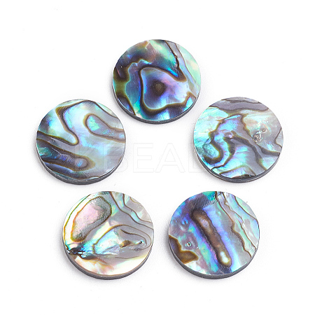 Natural Abalone Shell/Paua Shell Cabochons LS-SSHEL-L017-001-1