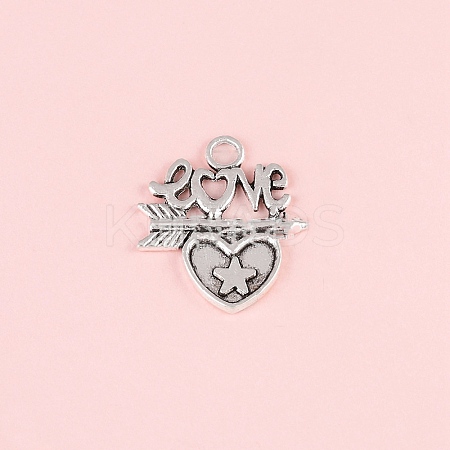 Valentine's Day Tibetan Style Alloy Pendants FIND-CJC0019-25E-1