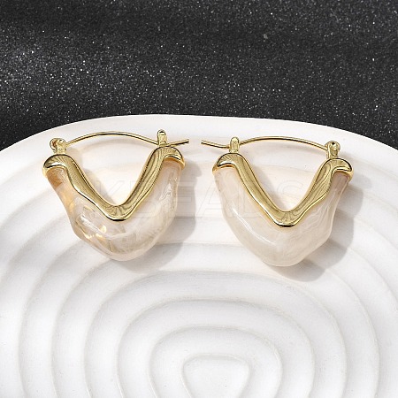 Brass Resin Hoop Earrings EJEW-P333-11A-G01-1