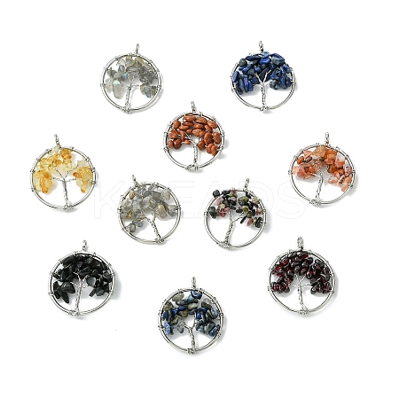5Pcs Mixed Gemstone Chip Pendants G-YW0002-46-1