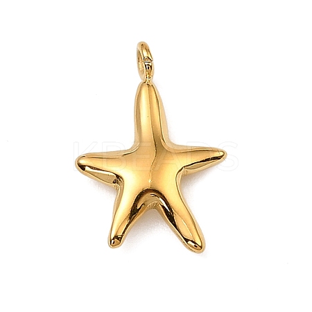 304 Stainless Steel Pendants STAS-I356-01G-02-1