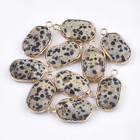 Natural Dalmatian Jasper Pendants G-T112-12H-1