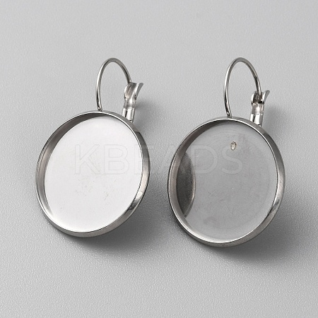 304 Stainless Steel Hoop Earring Findings LS-STAS-WH0001-17D-P-1