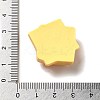 Opaque Resin Imitation Food Decoden Cabochons CRES-H001-03H-3