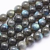 Natural Labradorite Beads Strands G-O166-08-10mm-1