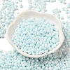6/0 Glass Seed Beads SEED-M012-01A-13-2