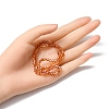 Transparent Electroplate Glass Bead Strands EGLA-YW0001-50B-5