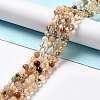 Natural Rutilated Quartz Beads Strands G-B029-B02-02-4