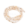 Natural Freshwater Shell Beads Strands SHEL-T011-02-2mm-2