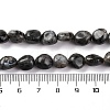 Natural Larvikite Beads Strands G-G146-A13-01-5