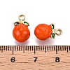 Alloy Enamel Charms ENAM-N056-404D-3