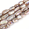 Electroplated Natural Freshwater Shell Beads Strands X-SHEL-T020-33-1