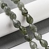 Natural Labradorite Beads Strands G-P520-B05-01-2