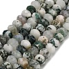 Natural Tree Agate Beads Strands G-Z111-A46-3