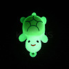 Luminous PVC Pendants LS-KY-P019-01A-2