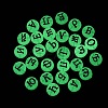 Luminous Transparent Acrylic Beads TACR-Q013-07A-5