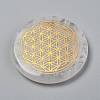 Chakras Themed Natural Quartz Crystal Cabochons LS-G-P001-22A-1