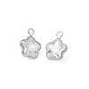 Brass Pave Clear Cubic Zirconia Charms CU-CBAD360-03P-02-1
