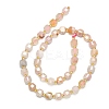 Natural Cherry Blossom Agate  Beads Strands G-I376-D37-01-2