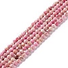 Natural Imperial Jasper Beads Strands G-L578-A06-1