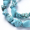 Natural Magnesite Beads Strands TURQ-G152-B01-3