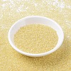 MIYUKI Round Rocailles Beads X-SEED-G007-RR0273-2