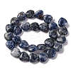 Natural Blue Spot Jasper Beads Strands G-I372-A13-02-5