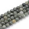 Natural Green Line Jasper Beads Strands LS-G-Q462-102-6mm-1