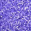 Imitation Cat Eyes Glass Seed Beads SEED-H003-03U-2