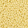 Baking Paint Glass Seed Beads SEED-T006-03B-2