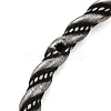 Viking 304 Stainless Steel Twisted Eagle Open Cuff Bangles for Men BJEW-U001-02AS-4