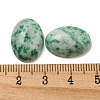 Natural Green Spot Jasper Cabochons G-C115-01A-12-3