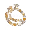 Natural Yellow Shell Beads Strands SHEL-F003-01B-3