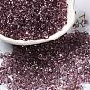 Transparent Colours Glass Seed Beads SEED-P006-02A-13-1