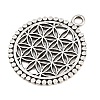 Tibetan Style Alloy Pendants AL-CBA1187-16AS-2