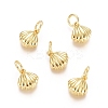 Brass Charms ZIRC-G161-26G-1