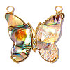 304 Stainless Steel & Abalone Shell Paua Shell Pendants STAS-A26-04-04-3