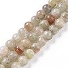 Natural Arusha Sunstone Beads Strands G-P488-04A-1