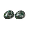 Natural Malachite Cabochons G-E464-42O-3