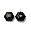 Natural Mixed Stone Pendants G-P588-02G-2